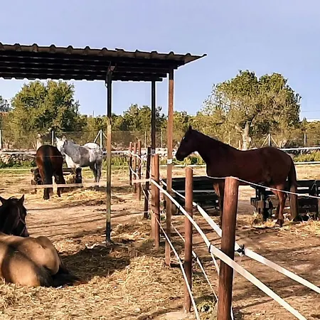 Vacacional Con Piscina Privada Y Barbacoa Holiday home
