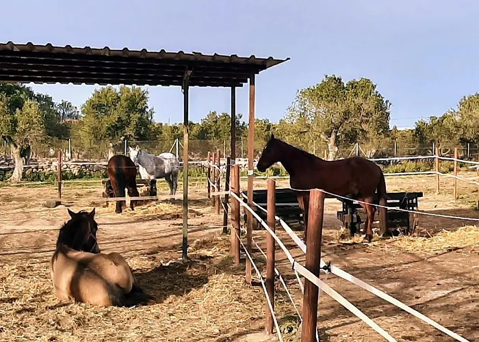 Con Piscina Privada Y Barbacoa 別荘